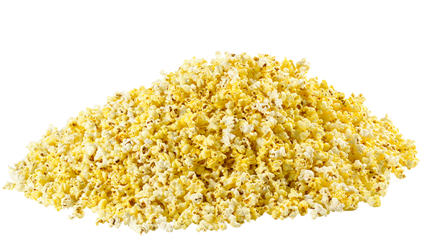 Salta Popcorn 40 Liter